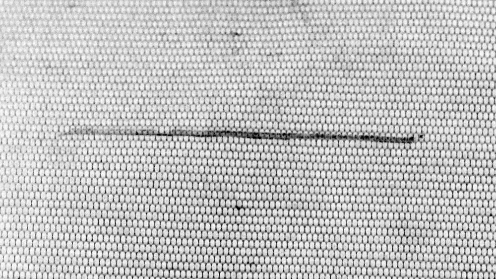 blauwasser_segel_reparatur_riss_faeden_bleistift