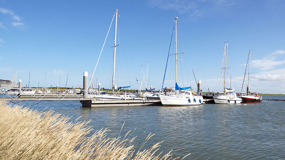 blauwasser_segeln_charter_holland_lauwers_meer_schiermonnikoog_hafen