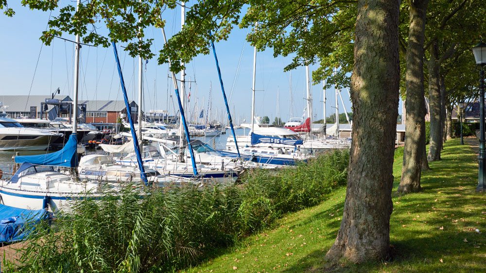 blauwasser_segeln_charter_holland_vecht_seenplatte_loosdrecht_charter