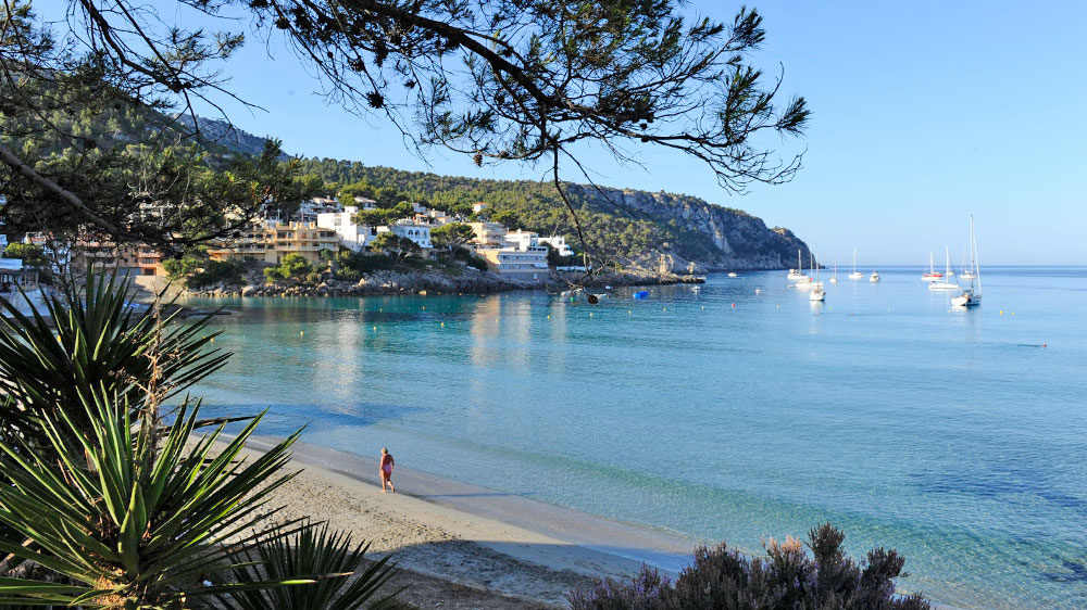 blauwasser_segeln_charter_mallorca_nahziele_palma_san_telmo