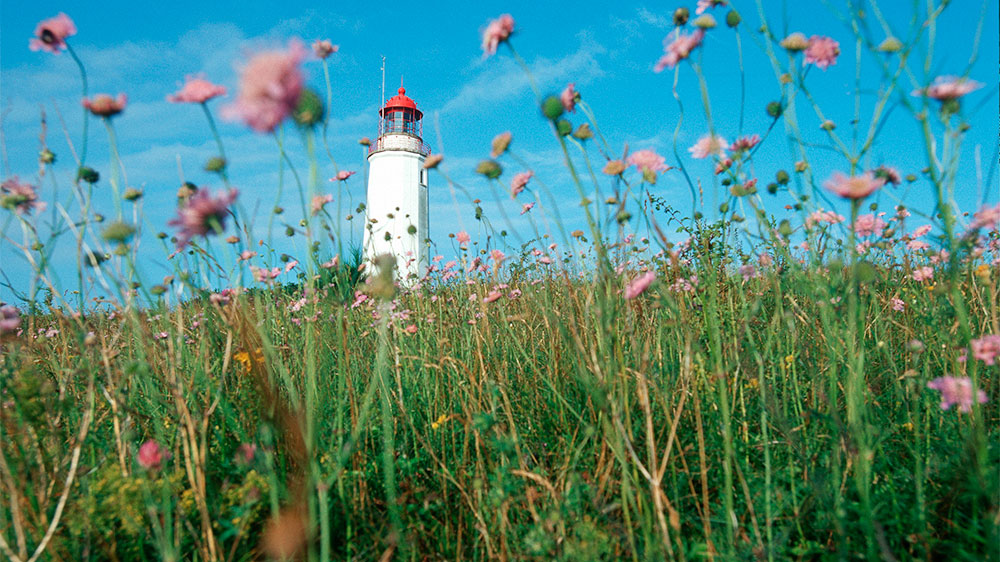 blauwasser_segeln_charter_ostsee_deutschland_mecklenburg_vorpommern_hiddensee_leuchtturm2