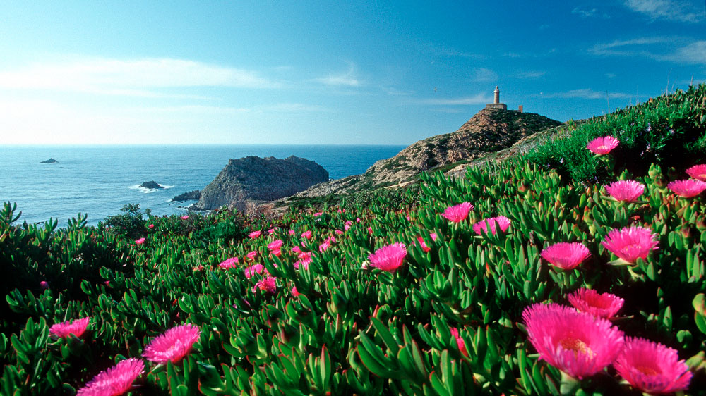 blauwasser_segeln_charter_sardinien_sueden_insel_san_pietro
