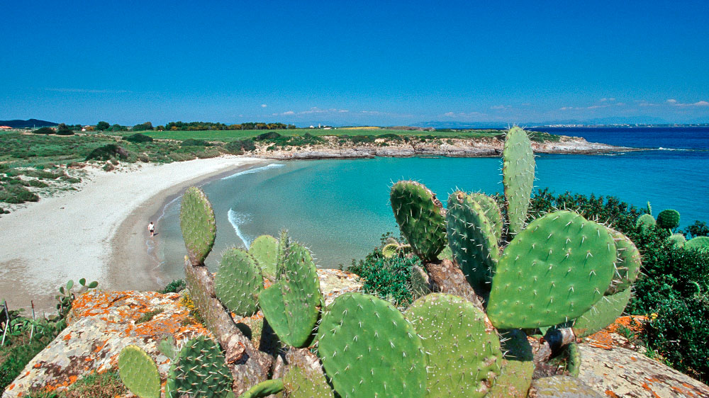 blauwasser_segeln_charter_sardinien_sueden_strand_spiaggia_la_bobba