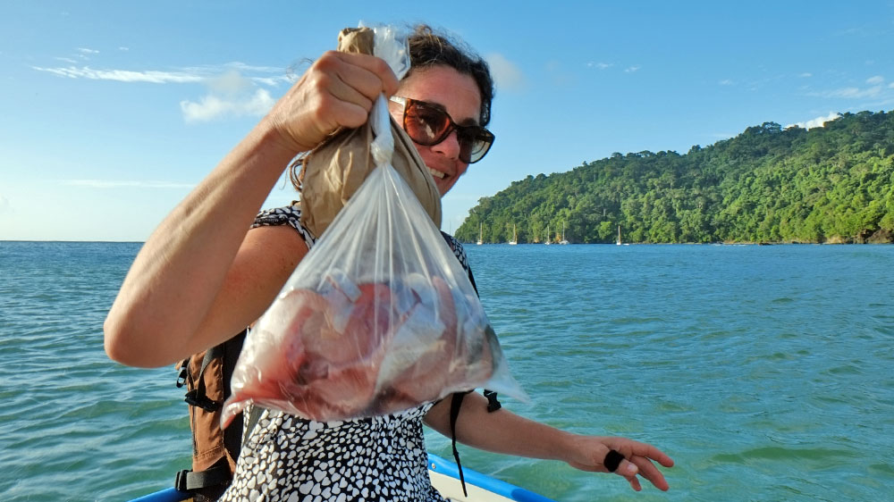blauwasser_segeln_karibik_tobago_charlotteville_fisch
