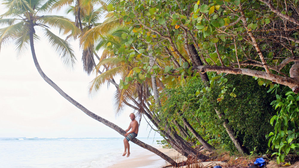 blauwasser_segeln_karibik_tobago_storebay_palmenstrand