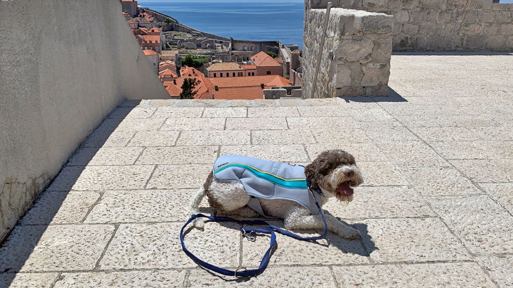 blauwasser_segeln_mit_hund_an_land_10