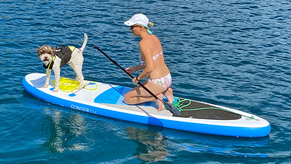 blauwasser_segeln_mit_hund_sup_7
