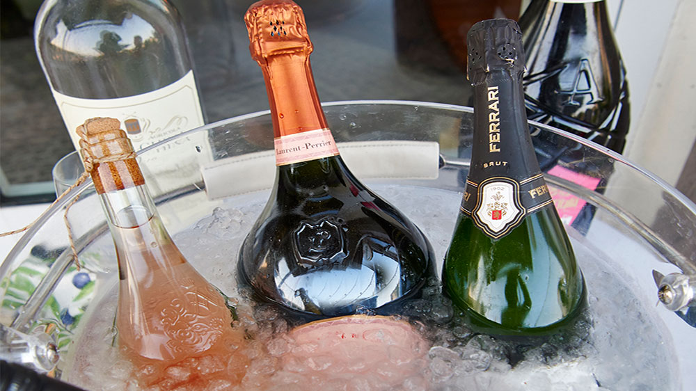 blauwasser_segeln_rund_ruegen_tipps_seedorf_champagner