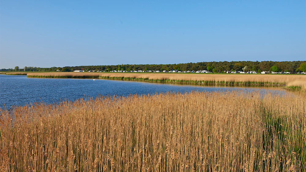 blauwasser_segeln_rund_ruegen_tipps_thiessow_landschaft