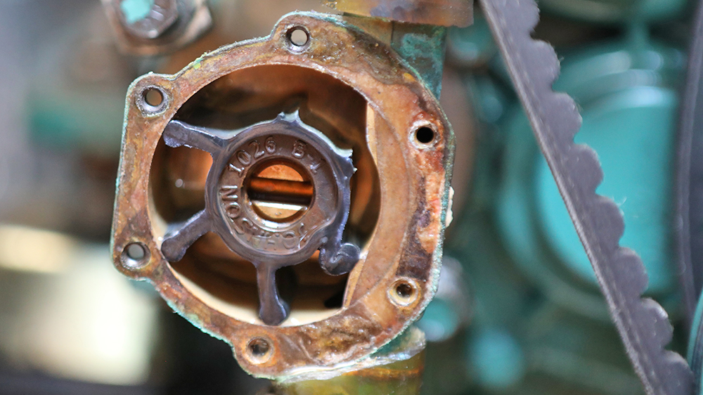 blauwasser_seminar_motor_diesel_fehlersuche_impeller