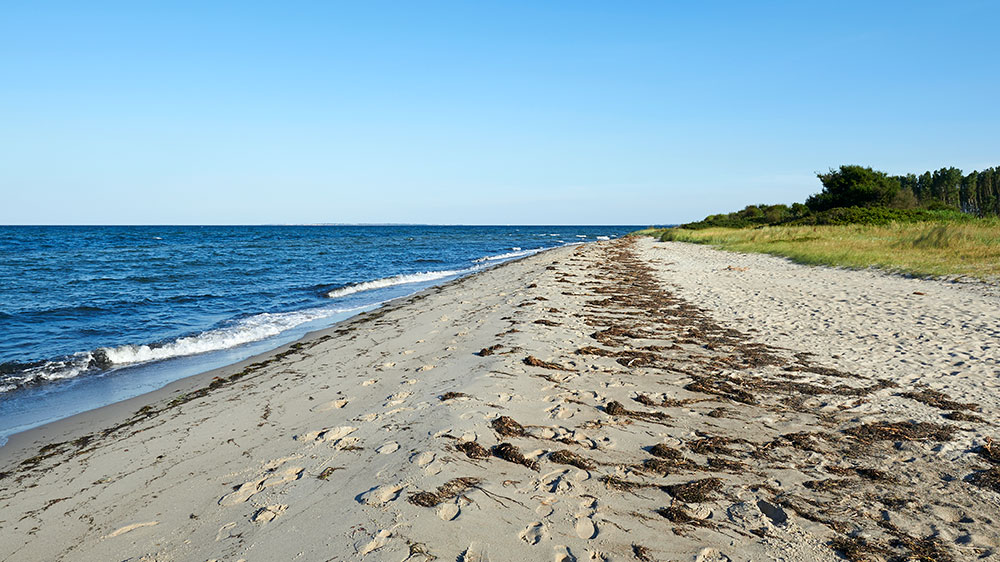 blauwasser_smallandsfahrwasser_vejrø_strand