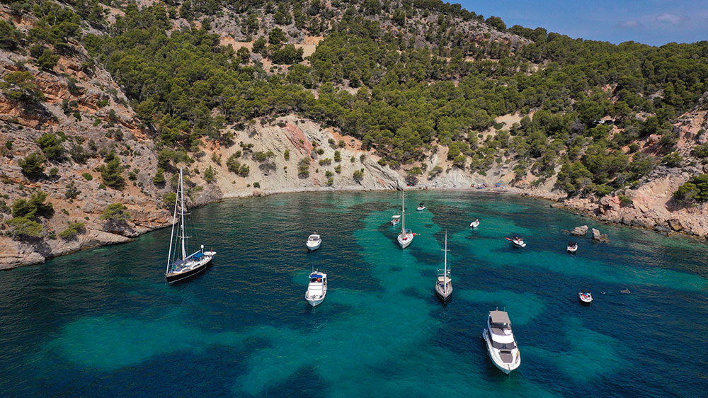 blauwasser_spanien_balearen_posidonia_seegras_mallorca