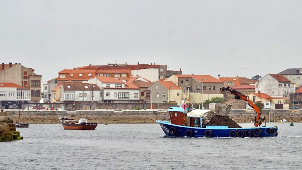 blauwasser_spanien_galicien_jakobsweg_muscheln
