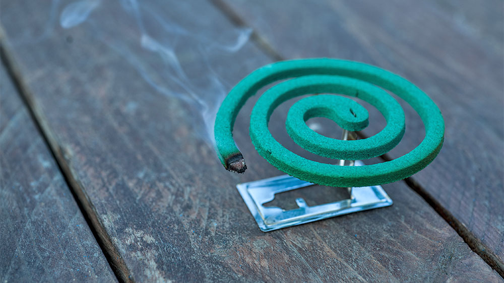 blauwasser_ungeziefer_rauchspirale