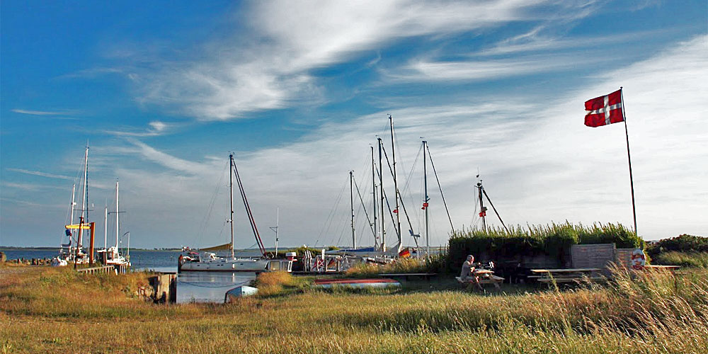 daenische_suedsee_birkholm