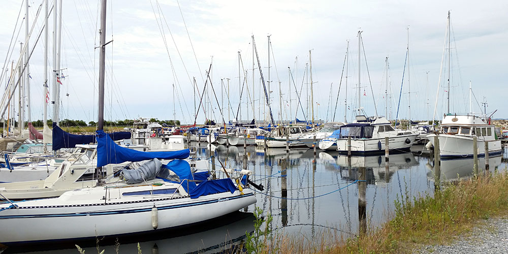 daenische_suedsee_fynshav