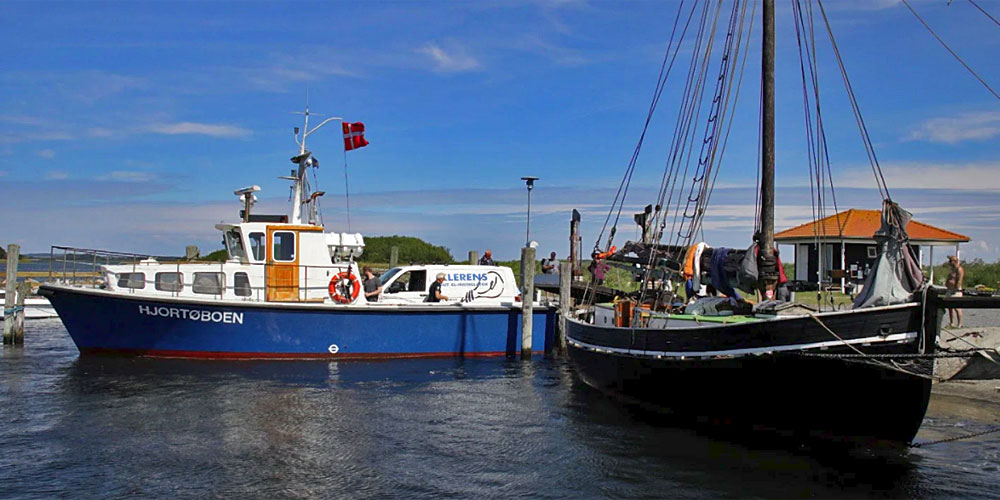 daenische_suedsee_hjortoe