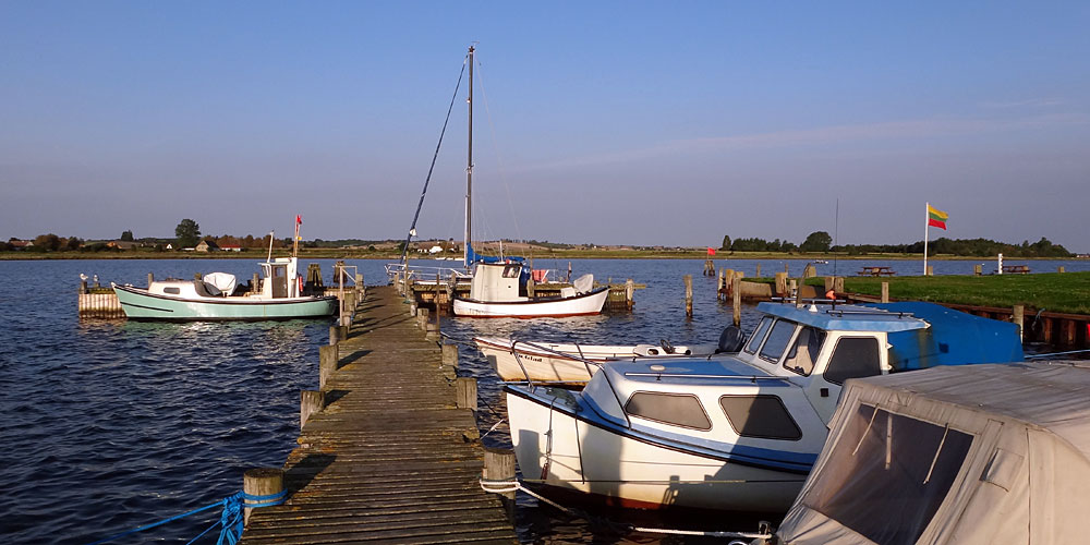 daenische_suedsee_ommel