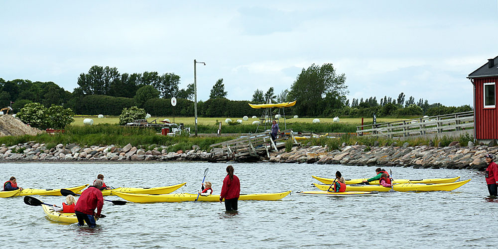 daenische_suedsee_strynoe