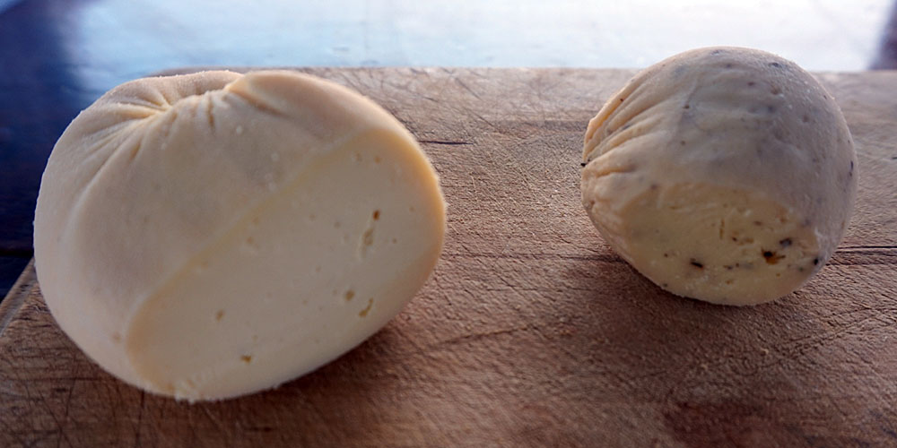 kosten-weltumsegelung-jogurt